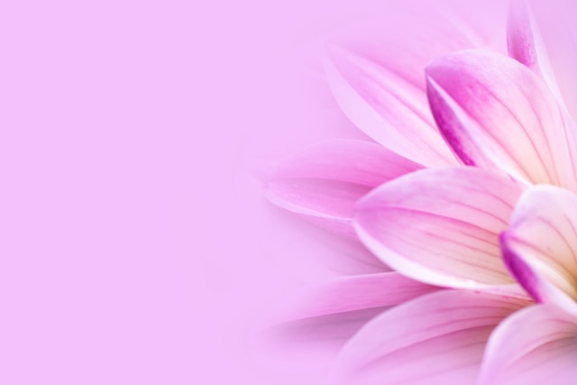 Xandrelixo közösség